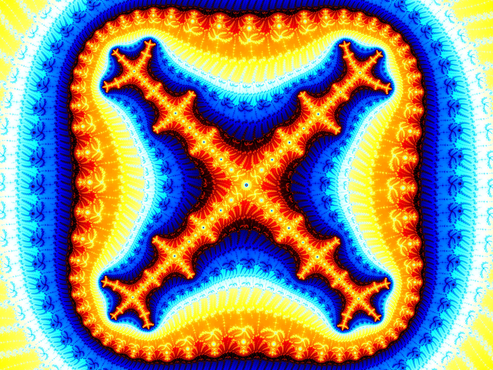 Metaphase Knobby Cross 4th Order