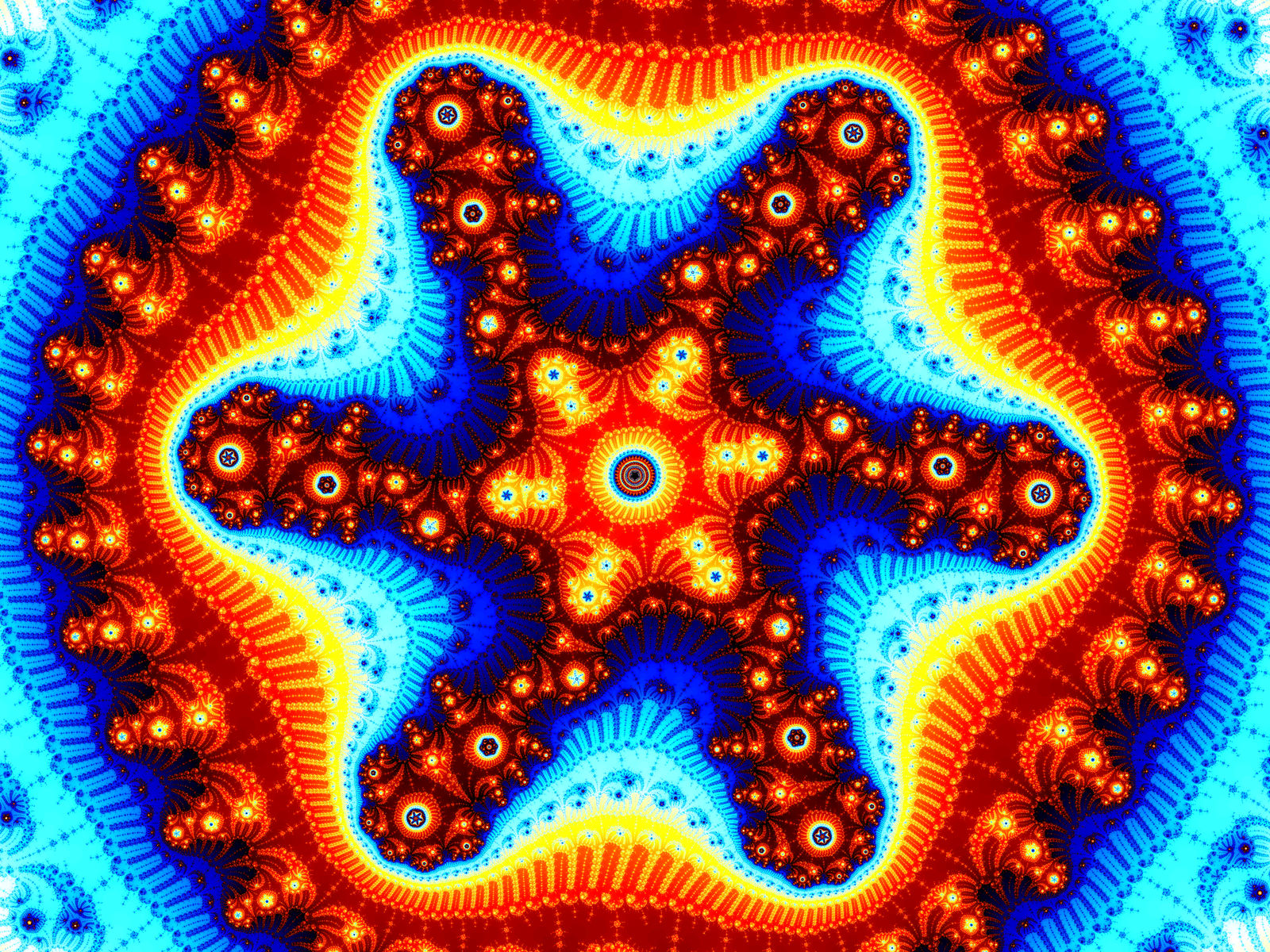 Metaphase Hexapod 6th Order