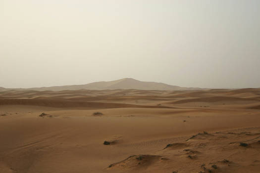 dunes 4