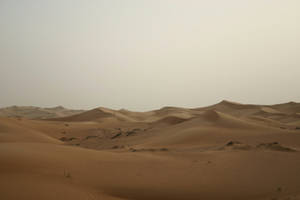 dunes 5