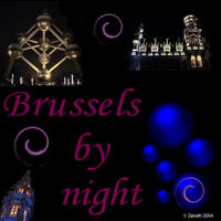 Brussels by night