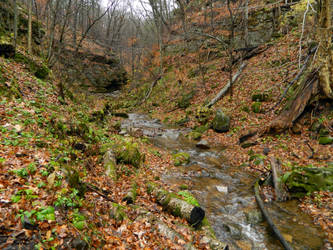 Parfrey's Glen Creek, November