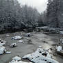 Teal Pond, First Snow