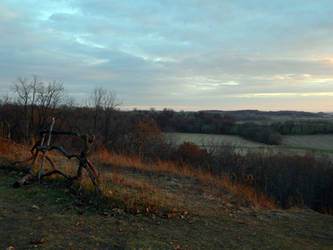 Magnolia Bluff at Dusk