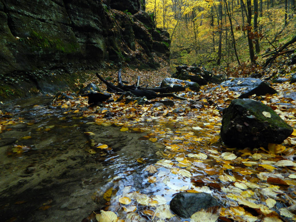 Parfreys Glen Creek In The Bleak Mid Autumn By Pauldlorentz On Deviantart