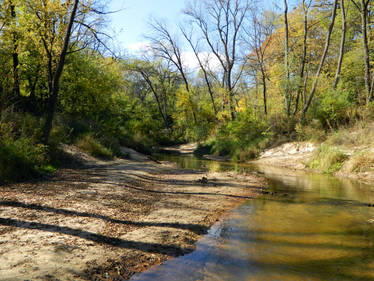 Pheasant Branch, October