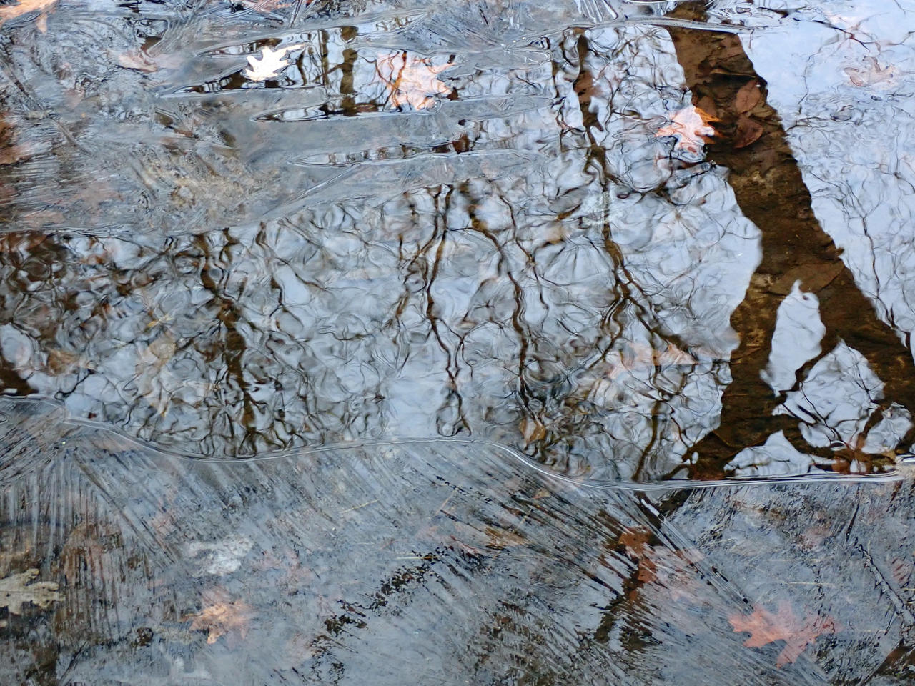 Iced Reflection Reflections on Thin Ice by pauldlorentz on DeviantArt