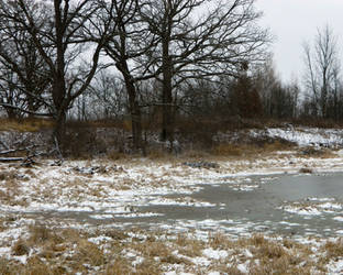 Patrick Marsh Oaks, New Year's Eve