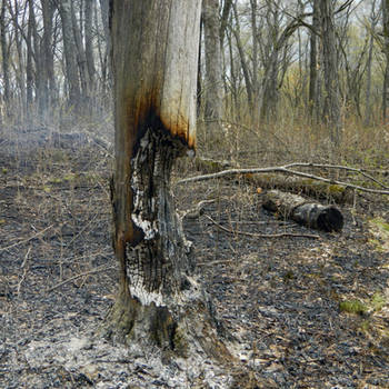 Focke-Wulf Fw 57 by Ravenzwood on DeviantArt