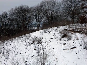 Steenbock Preserve, Winter Landscape IV