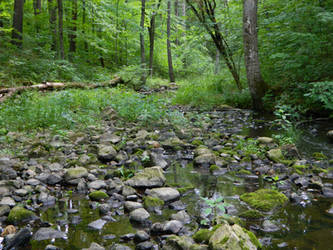 Otter Creek, Summer Drought