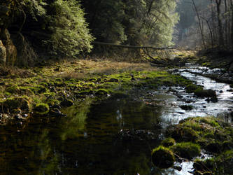 Honey Creek, On an Unlikely March Afternoon