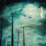 wired sky