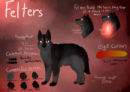 Felter Reference by BlossomWolf42