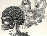 Medusa Skeleton by Tessarae