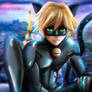 Chat Noir