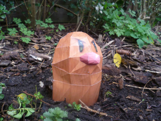 diglett