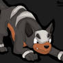 Houndour