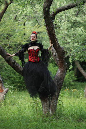 in red and black 06 by Anna-LovelyMonster in red and black 06 by Anna-LovelyMonster