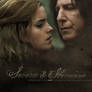 -Severus and Hermione-