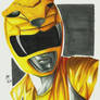 Mighty Morphin' Power Rangers - Yellow Ranger