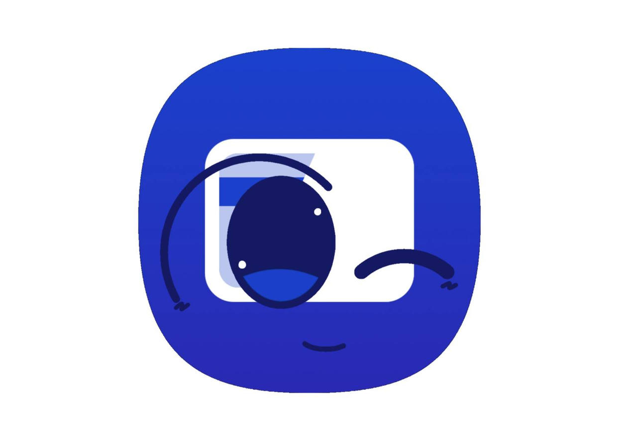 Samsung Wallet Thing? V4