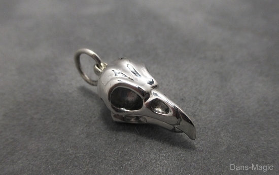 Barn owl skull pendant