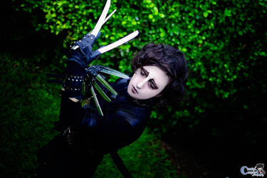 More Edward Scissorhands! by BasiliskRules