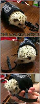 The Walking Hedge