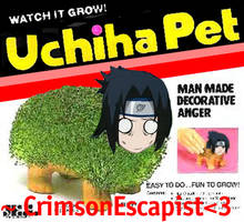 Uchiha Pet