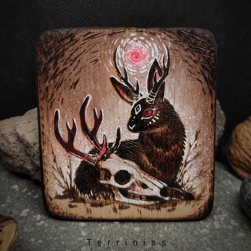 Skull and rabbit