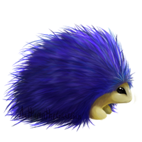 Casual Blue Hedgehog
