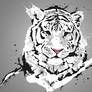 White tiger