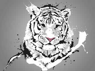 White tiger