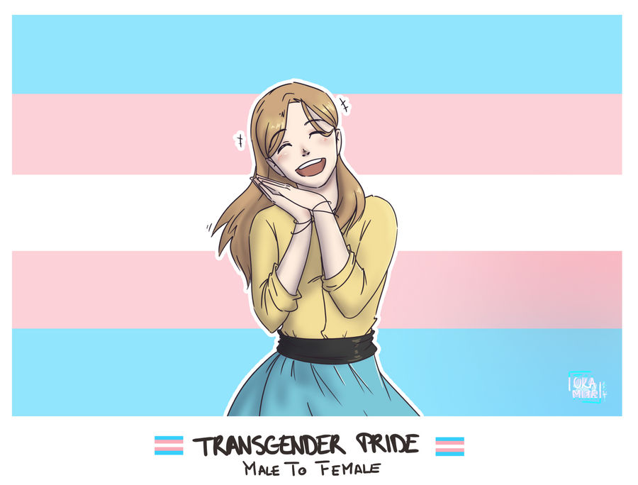Transgender Pride MtF by OkamiSekai on DeviantArt
