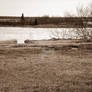 Lake Michigan Shoreline 20