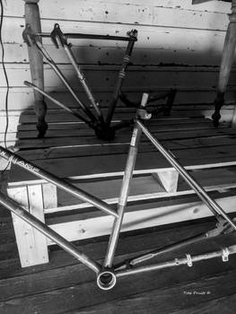 Bicycle Frames and Wood