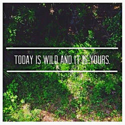 Today Is Wild And It Is Yours