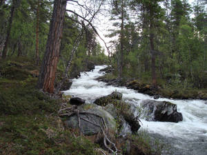 Mountain stream