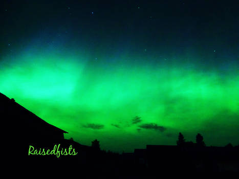 Northern Light 4