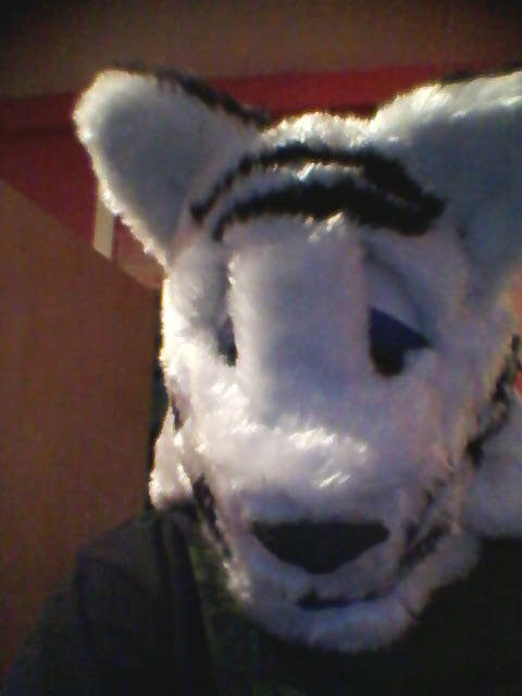 furry tiger mask