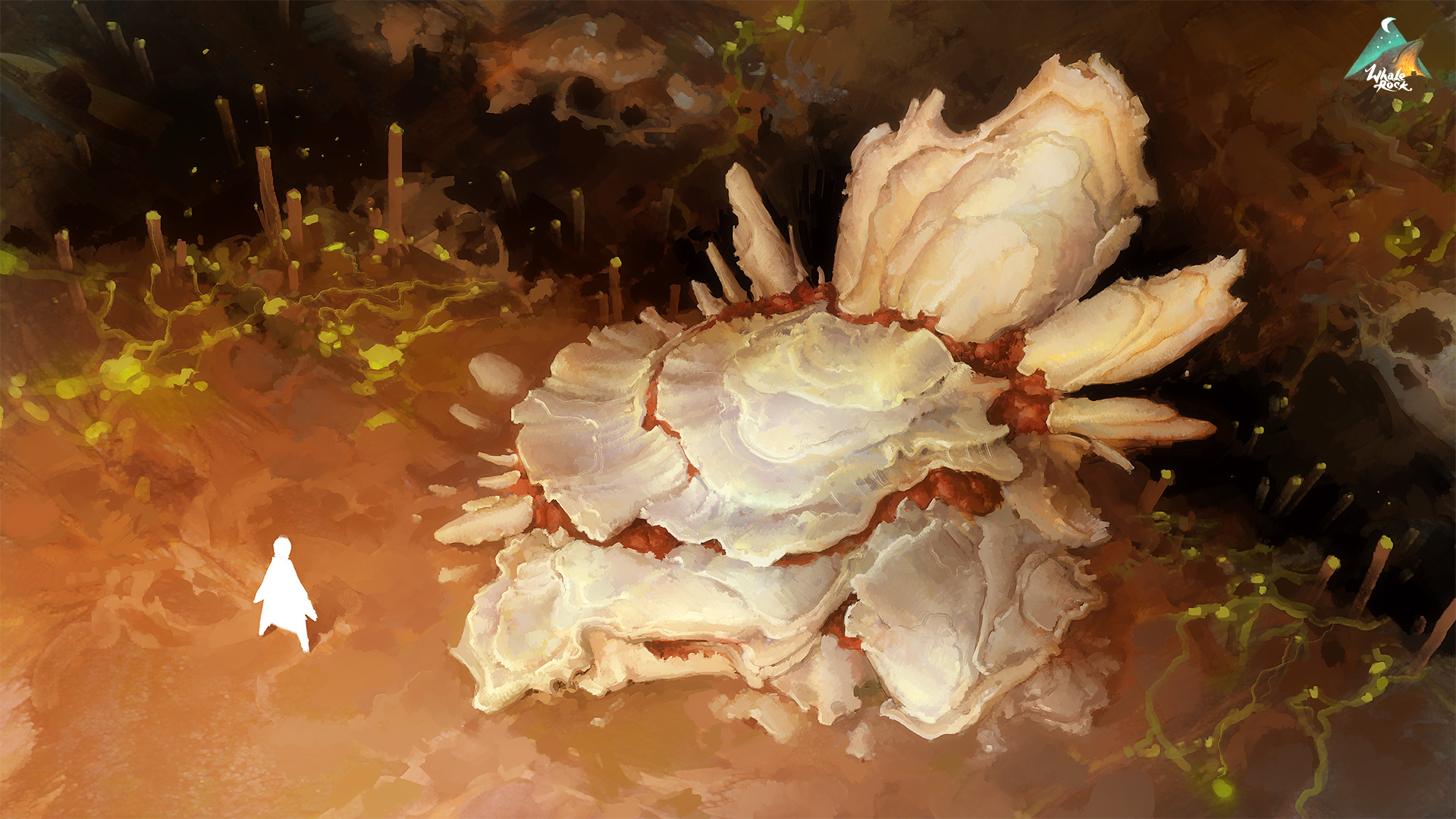 Shells 01