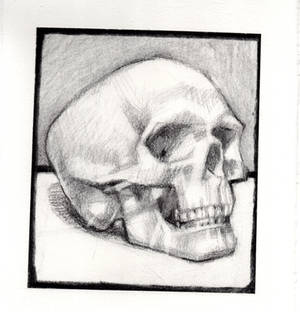 Skull Study