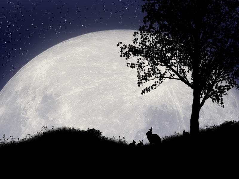 Rabbit Twilight by JinxyWinxy on DeviantArt