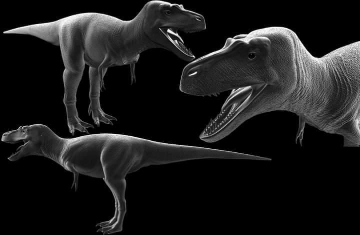 Lythronax Tooth Lythronax coming up.... by JoliAquaIslander on DeviantArt