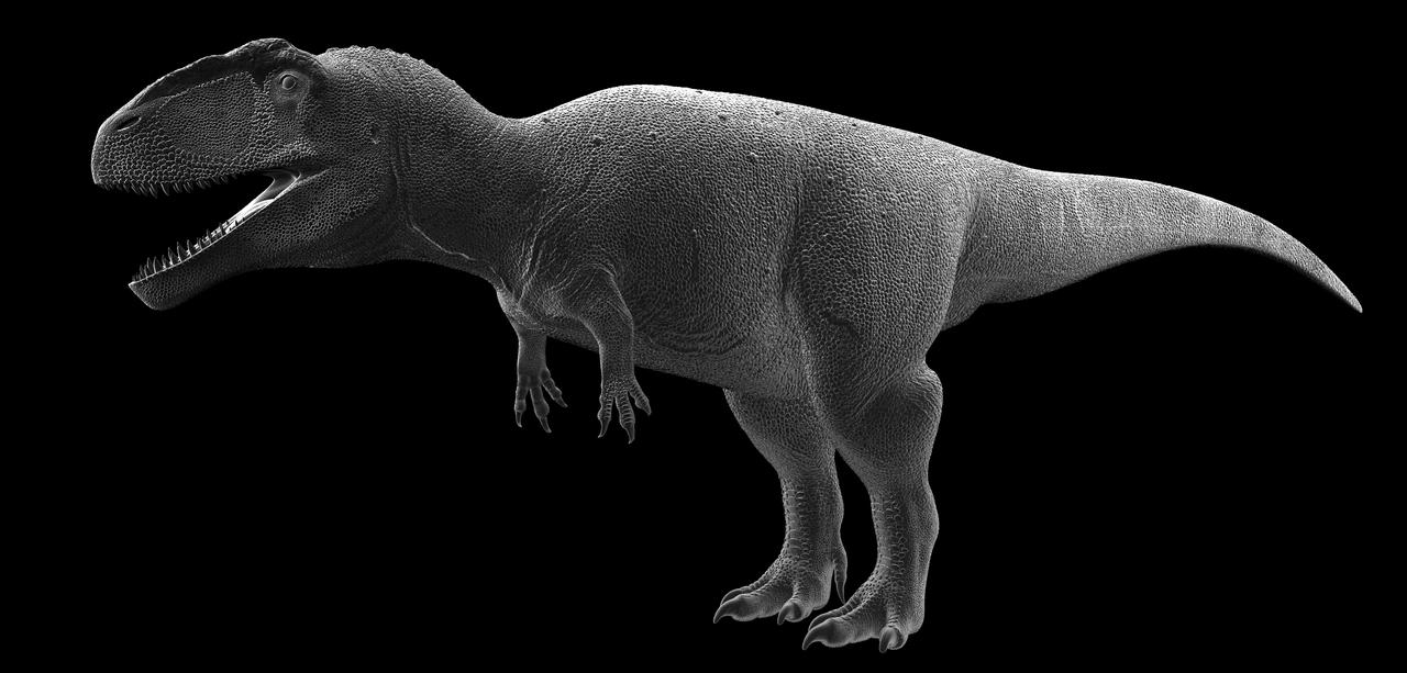 Mapusaurus (Earth Lizard) by JoliAquaIslander on DeviantArt