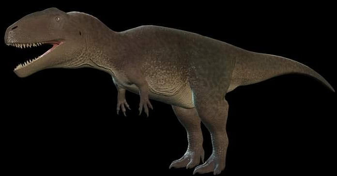~Textures Mapusaurus Female~ by JoliAquaIslander on DeviantArt