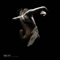 Dark Lady