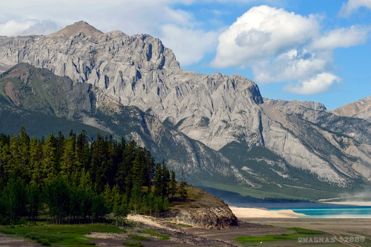 Kootenay Plains