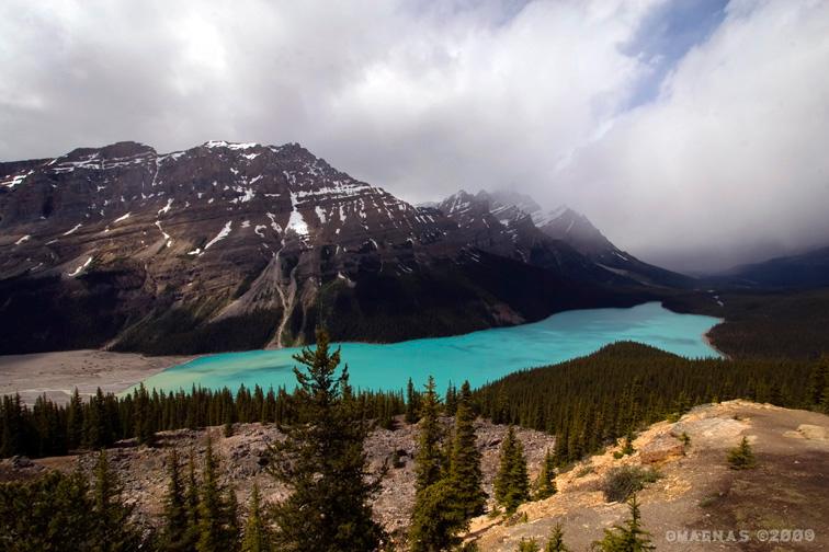 Peyto Lake